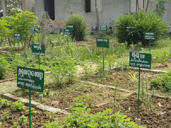 Chitalo Mahavidyalaya Jajapur Campus photo 6
